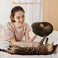 Foldable Cat Scratcher Toy for Indoor Cats