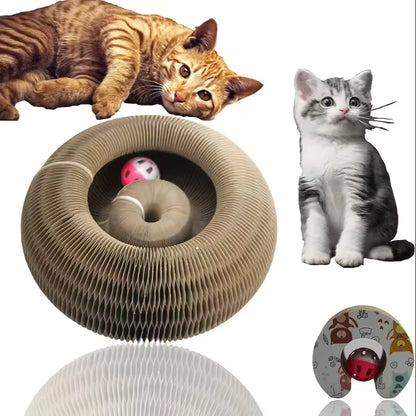 Foldable Cat Scratcher Toy for Indoor Cats
